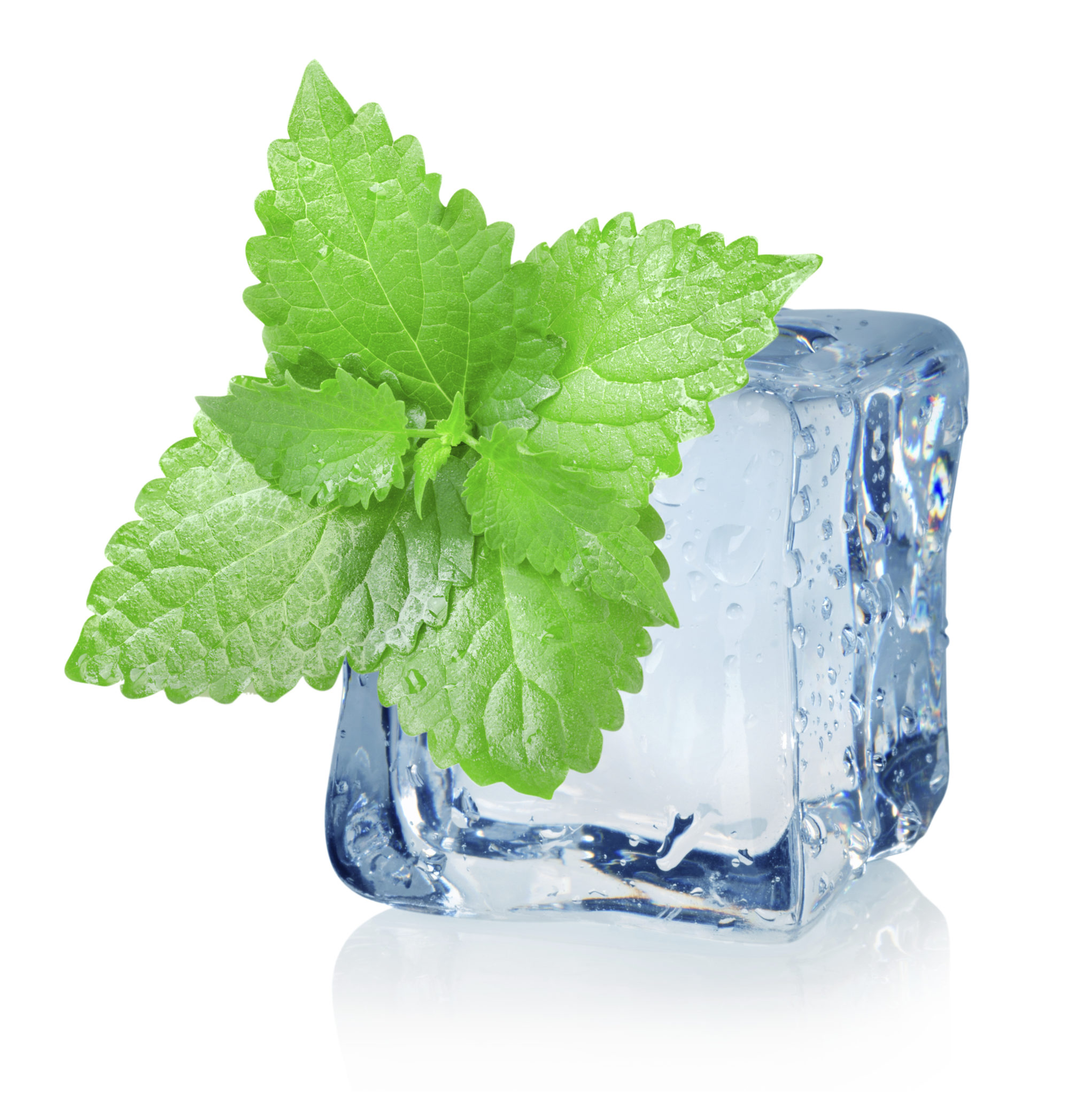 Ice cube and mint.