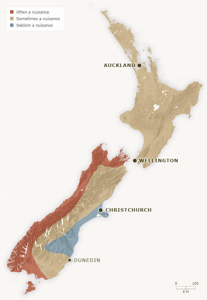 Sandfly Map NZ